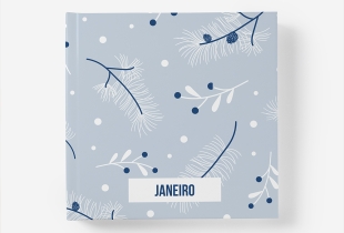 Álbum de Janeiro intro